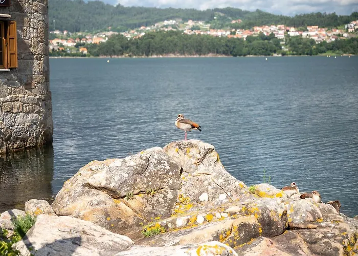 Διαμέρισμα Paraiso Rias Baixas Ii